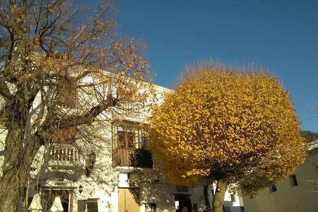Alojamiento Rural Cuatro Estaciones Capileira Country house